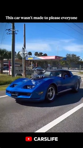 This car wasn't made to please everyone