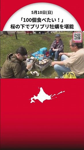 『あっけし桜・牡蠣まつり』大勢の来場者で賑わう「プリプリしてて身が弾力あって美味しい」「100個くらい食べたい」1000本以上の桜見ながら旬の牡蠣を堪能！〈北海道厚岸町〉