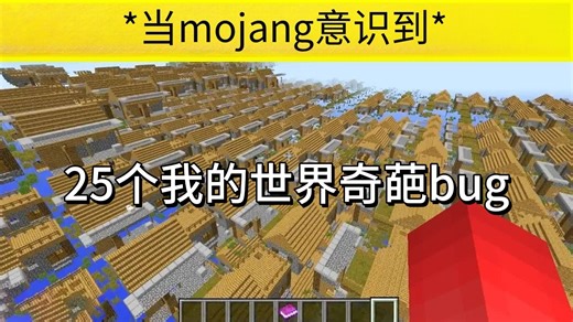 《我的世界》25 个必须修复的奇葩bug