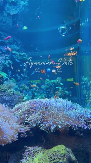 Spring break date at the aquarium 🐠 #fyp #foryoupage #aquariumdate #datenightvibes #chicago