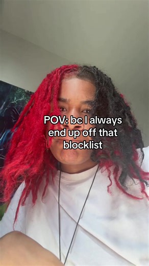 Understanding TikTok's Blocklist Dynamics