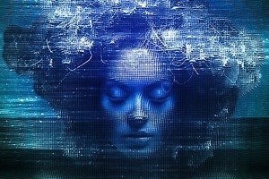 Grid 24027428 - FreePSDvn