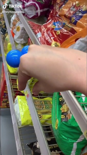 Funny Grocery Store Toy Interaction