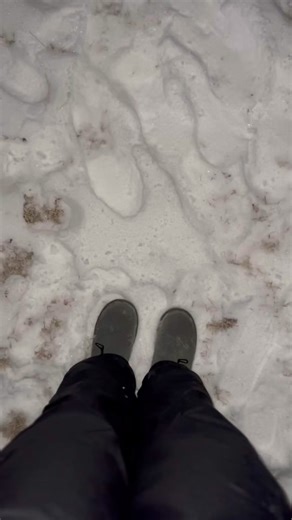 Impressive Narwhal Voice from Elf Video