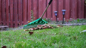 A green garden rake is used to clear leaves from a yard. The yard is surrounded by a red fence
