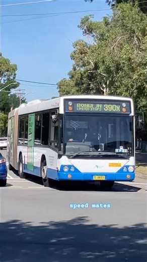Transdev John Holland 1686 Volvo CB60 - 390X To Bondi Junction #speedmates