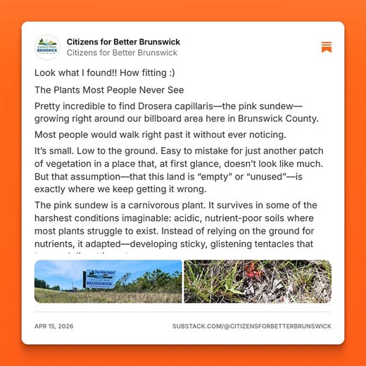 Citizens for Better Brunswick (@citizensforbetterbrunswick)