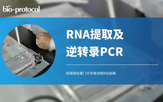 【Bio-protocol】RNA的提取和逆转录PCR