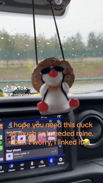 Hey, got any grapes? #tiktokshop #duck #ducks #car #ducksoftiktok