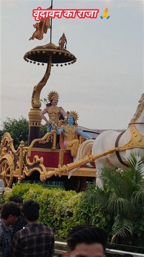 🙏❤️ VRINDAVAN KA RAJA — DIVINE DARSHAN OF SHRI KRISHNA ❤️🙏 #krishna #premanandji #shortvideo