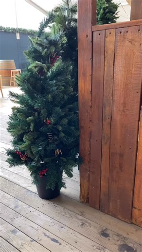 It all begins tonight! Christmas Lights Spectacular is here! #christmaslightsspectacular 🙌🏼✨🎄🎅🏻 | Hunter Valley Gardens