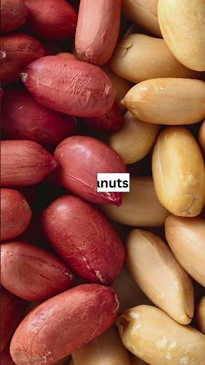 The Top 12 High Plant Based Protein Foods