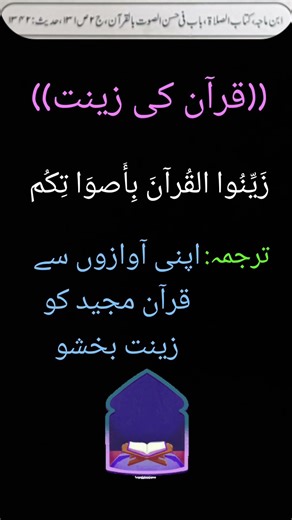 Apni Amazon Se Quran E Majeed Ko zeenat Bakhsho Hamara pyara islam ✨ ﷺ ✨