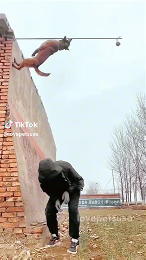 kim adam (@kim.adam48)’s videos with original sound - kim adam