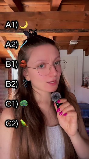 How to say moon, toothbrush, brick, needle, peacock, parrot in English