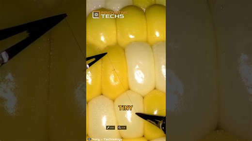 Sony’s surgical robot performs dazzling microsurgery on a corn kernel!