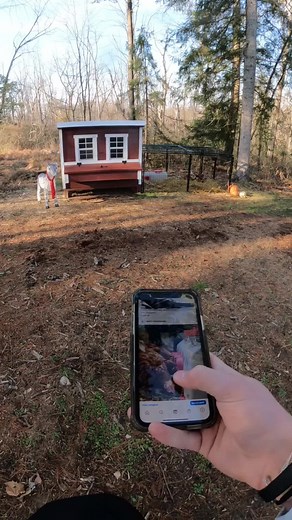 OverEZ Chicken Coop on TikTok