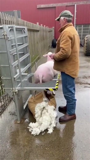 The Most Satisfying Food Machines Ever Built