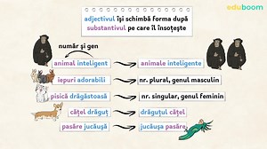 Adjectivul. Partea I. Limba și literatura română clasa a 4-a