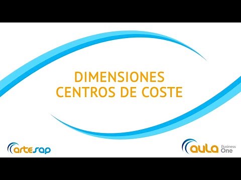 Contabilidad analítica. ¿Qué son las dimensiones en SAP Business One?