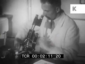 1940s Laboratory, Scientists Use Microscopes and Make Notes, Archive Footage