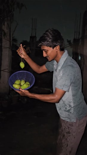 Mango fruit mini vlog part-3