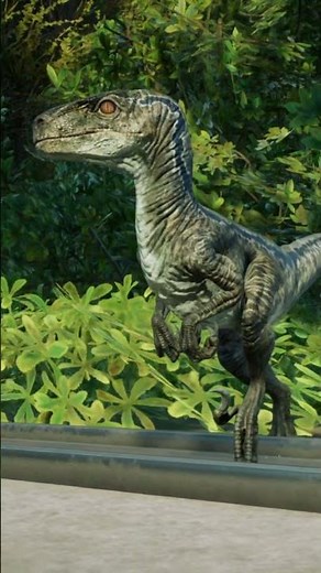Velociraptor Beta Release Animation #jurassicworld #jurassicworldevolution2 #velociraptor