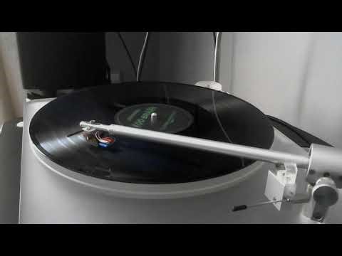 Zoo Brazil - In the Shade