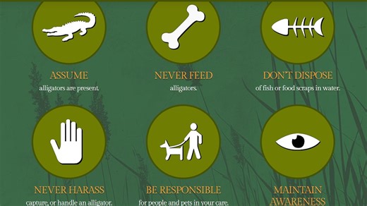 Florida alligator attack kills woman: New details released, FWC awareness website launched