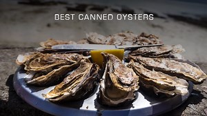 5 Best Canned Oyster Brands (Updated 2025)