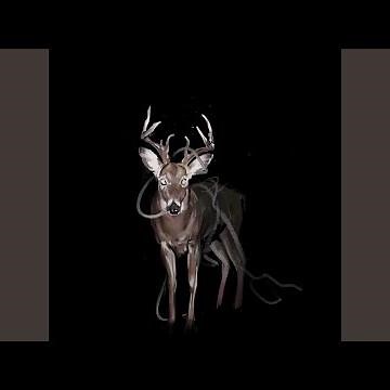 Bambi