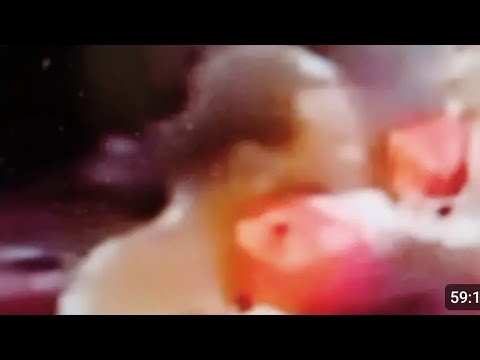 長時間👹第4クール👹タイソン・ジョルト・パンチ・ラッシュ👹ベガ・ディフェンス・オフェンス👹セガール・エブリ・ムーブ・イン・アイキドウ👹鬼集中トレ👹燃えるブルーリー👹究極身体能力👹タイガーブルー👹