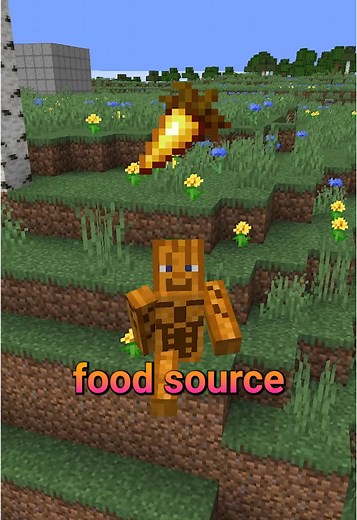 Discover the Best Food in Minecraft with Expert Tips