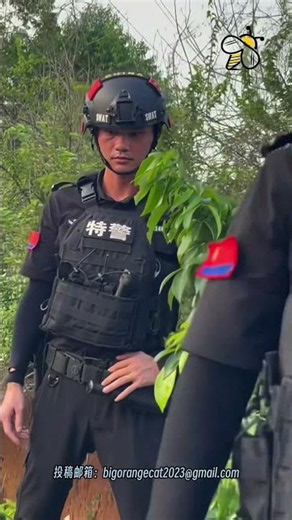 Pingnan, Guangxi villagers protesting quarry environmental destruction suppressed and injured by ...
