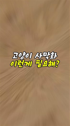 이사하고 나서야 고양이 모래 문제 해결한 현실 집사 | 고양이 화장실 모래 | 캣리터 매트 대형 | 고양이 집사템
