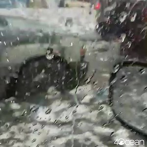 894K views · 228 reactions | Plastic pollution has no borders. Learn how you can help today. | 4ocean | Facebook