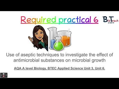 Required practical 6 - Aseptic techniques A level Biology: BioTeach London
