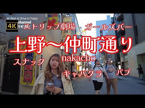 4K【上野～仲町通り】【ストリップ劇場,ガールズバー,キャバクラ,スナック,パブ】【無料案内所と呼び込みのお兄さん】【シアター上野があるところ】【夜の歓楽街】ぶらぶら散歩【飲食店は焼肉屋が多し】湯島