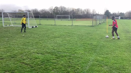 FSD Academy on TikTok