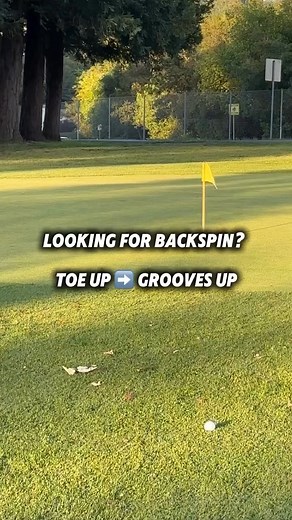 216K views · 1.5K reactions | Comment “Spin” and I’ll DM you my...