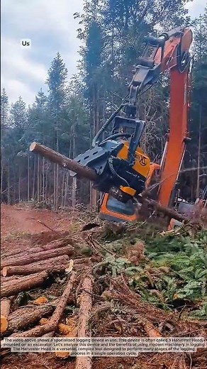 Wood harvesting head
