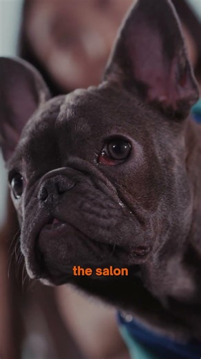 The -Convenience- Advantage of Mobile vs. Salon