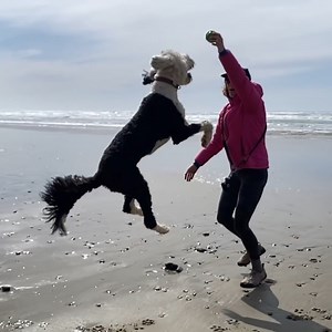 162K views · 6.5K reactions | Bunny's First Road Trip! | Whataboutbunny | Facebook