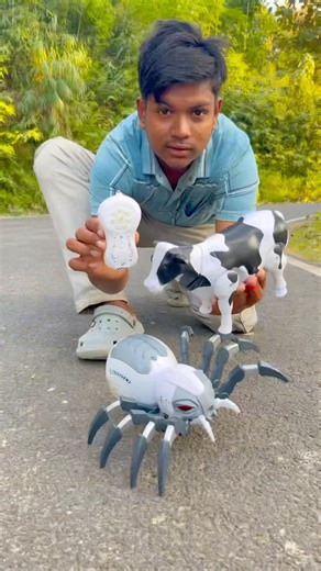 😱Remote Control Cow Vs Robot Spider | First Time Battle!