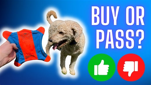 Watch Review&colon; ChuckIt! Flying Squirrel Spinning Dog Toy on Amazon Live