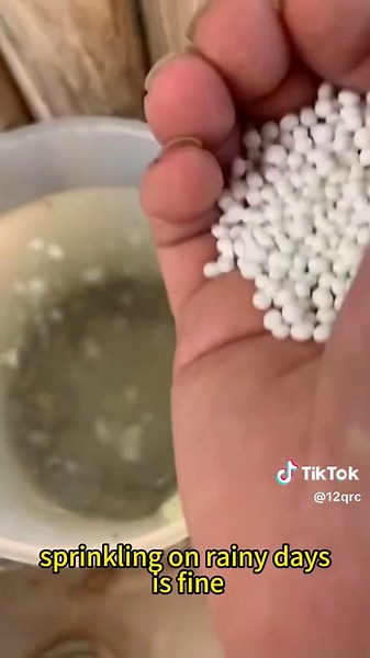 Effective Fertilizing Methods for Vegetables