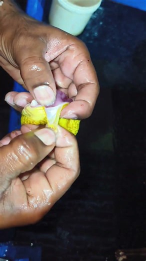 How to Clean Chicken Gizzard Easily | Quick & Simple Method 🔪🍗 #shorts"