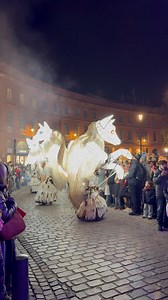 Défilés de Noël, jeux de lumière et danse animent les rues bondées — un spectacle incroyable qui fait vibrer Toulouse. . . . . . Toulouse - Mairie et Métropole Actu Toulouse #fblifestyle #toulousemavillerose #toulousemaville #Occitanie #marchenoel #villerose #noel #toulouse #toulousebynight #Centerville #toulouselautrec | Wonder Whispers