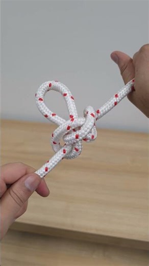 Alpine Butterfly Loop Made EASY | Essential Knot for Climbers & Campers 🪢 #shorts