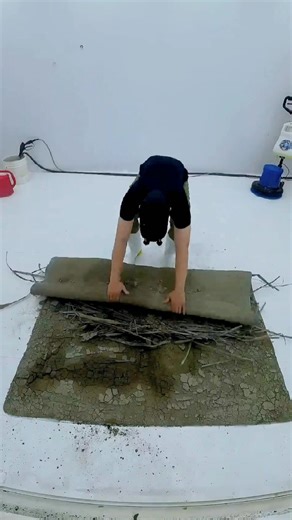 Effective Rug Cleaning Techniques